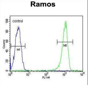C11orf53 Antibody - C11orf53 Antibody flow cytometry of Ramos cells (right histogram) compared to a negative control cell (left histogram). FITC-conjugated goat-anti-rabbit secondary antibodies were used for the analysis.
