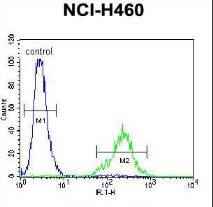 C12orf29 Antibody - CL029 Antibody flow cytometry of NCI-H460 cells (right histogram) compared to a negative control cell (left histogram). FITC-conjugated goat-anti-rabbit secondary antibodies were used for the analysis.