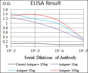 C17orf53 Antibody - Red: Control Antigen (100ng); Purple: Antigen (10ng); Green: Antigen (50ng); Blue: Antigen (100ng);