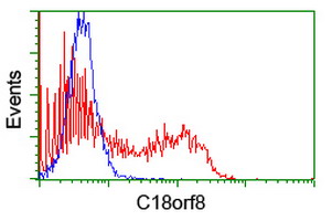 C18orf8 / MIC1; Antibody - HEK293T cells transfected with either overexpress plasmid (Red) or empty vector control plasmid (Blue) were immunostained by anti-C18orf8 antibody, and then analyzed by flow cytometry.