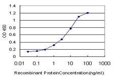 C1D Antibody - Detection limit for recombinant GST tagged C1D is approximately 0.1 ng/ml as a capture antibody.