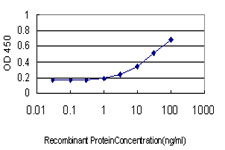 C1GALT1 Antibody - Detection limit for recombinant GST tagged C1GALT1 is approximately 0.3 ng/ml as a capture antibody.