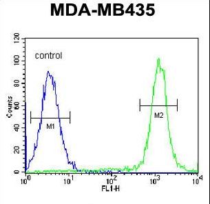 C1orf26 Antibody - CA026 Antibody flow cytometry of MDA-MB435 cells (right histogram) compared to a negative control cell (left histogram). FITC-conjugated goat-anti-rabbit secondary antibodies were used for the analysis.