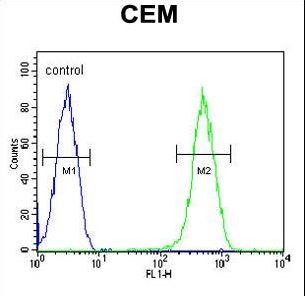 C1orf42 / NICE-1 Antibody - CRCT1 Antibody flow cytometry of CEM cells (right histogram) compared to a negative control cell (left histogram). FITC-conjugated goat-anti-rabbit secondary antibodies were used for the analysis.