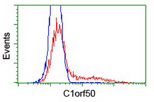 C1orf50 Antibody - HEK293T cells transfected with either overexpress plasmid (Red) or empty vector control plasmid (Blue) were immunostained by anti-C1orf50 antibody, and then analyzed by flow cytometry.