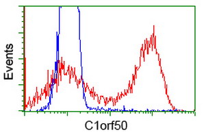 C1orf50 Antibody - HEK293T cells transfected with either overexpress plasmid (Red) or empty vector control plasmid (Blue) were immunostained by anti-C1orf50 antibody, and then analyzed by flow cytometry.