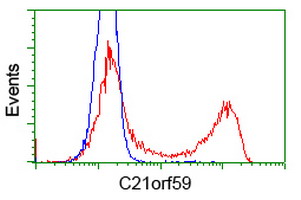 C21orf59 Antibody - HEK293T cells transfected with either overexpress plasmid (Red) or empty vector control plasmid (Blue) were immunostained by anti-C21orf59 antibody, and then analyzed by flow cytometry.