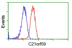 C21orf59 Antibody - Flow cytometry of Jurkat cells, using anti-C21orf59 antibody (Red), compared to a nonspecific negative control antibody (Blue).