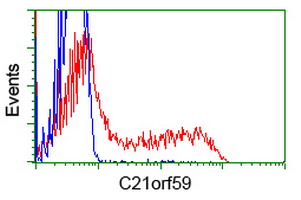C21orf59 Antibody - HEK293T cells transfected with either overexpress plasmid (Red) or empty vector control plasmid (Blue) were immunostained by anti-C21orf59 antibody, and then analyzed by flow cytometry.