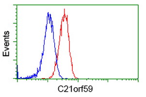 C21orf59 Antibody - Flow cytometry of Jurkat cells, using anti-C21orf59 antibody, (Red), compared to a nonspecific negative control antibody, (Blue).