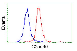 C2orf40 / ECRG4 Antibody - Flow cytometry of HeLa cells, using anti-C2orf40 antibody (Red), compared to a nonspecific negative control antibody (Blue).