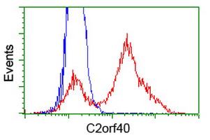 C2orf40 / ECRG4 Antibody - HEK293T cells transfected with either overexpress plasmid (Red) or empty vector control plasmid (Blue) were immunostained by anti-C2orf40 antibody, and then analyzed by flow cytometry.