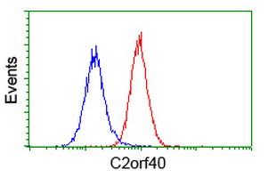 C2orf40 / ECRG4 Antibody - Flow cytometry of HeLa cells, using anti-C2orf40 antibody (Red), compared to a nonspecific negative control antibody (Blue).