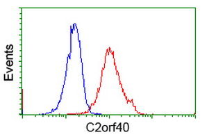 C2orf40 / ECRG4 Antibody - Flow cytometry of Jurkat cells, using anti-C2orf40 antibody (Red), compared to a nonspecific negative control antibody (Blue).