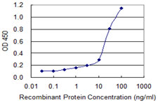 C4BPB / C4BP Beta Antibody - Detection limit for recombinant GST tagged C4BPB is 0.1 ng/ml as a capture antibody.