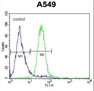C5AR1 / CD88 / C5a Receptor Antibody - C5AR1 Antibody flow cytometry of A549 cells (right histogram) compared to a negative control cell (left histogram). FITC-conjugated goat-anti-rabbit secondary antibodies were used for the analysis.