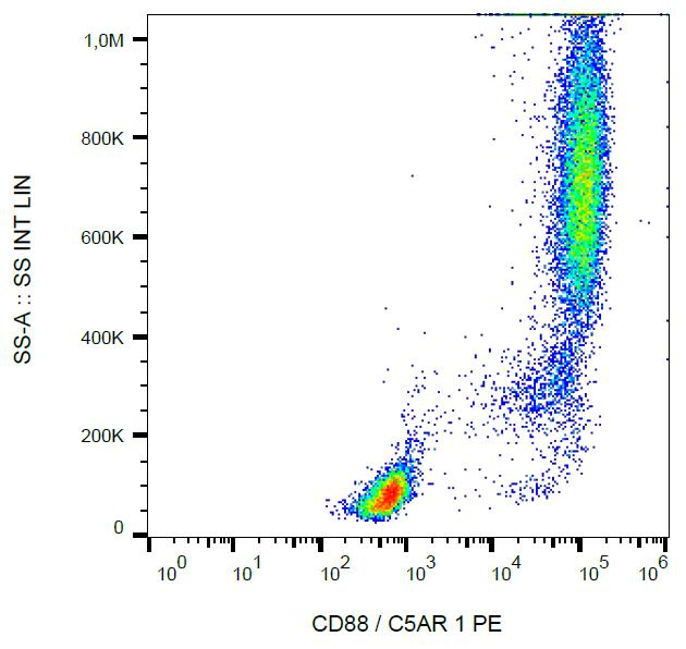 C5AR1 / CD88 / C5a Receptor Antibody - Surface staining of human peripheral blood using anti-CD88 (clone S5/1) PE.