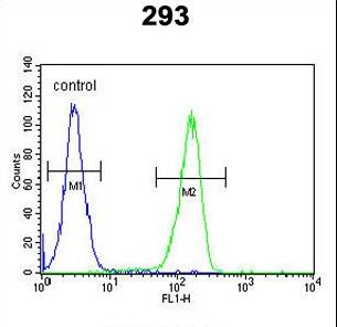 C5orf15 Antibody - KCT2 Antibody flow cytometry of 293 cells (right histogram) compared to a negative control cell (left histogram). FITC-conjugated goat-anti-rabbit secondary antibodies were used for the analysis.