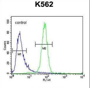 C6orf58 Antibody - C6orf58 Antibody flow cytometry of K562 cells (right histogram) compared to a negative control cell (left histogram). FITC-conjugated goat-anti-rabbit secondary antibodies were used for the analysis.
