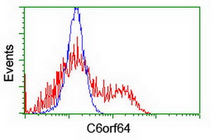 C6orf64 Antibody - HEK293T cells transfected with either overexpress plasmid (Red) or empty vector control plasmid (Blue) were immunostained by anti-C6orf64 antibody, and then analyzed by flow cytometry.