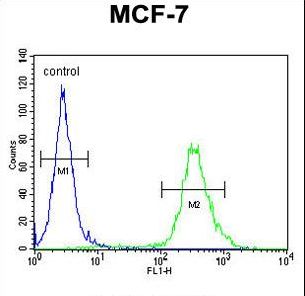 C9orf150 Antibody - CI150 Antibody flow cytometry of MCF-7 cells (right histogram) compared to a negative control cell (left histogram). FITC-conjugated goat-anti-rabbit secondary antibodies were used for the analysis.