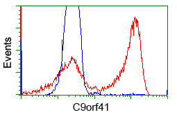 C9orf41 Antibody - HEK293T cells transfected with eitheroverexpress plasmid(Red) or empty vector control plasmid(Blue) were immunostained by anti-C9orf41 antibody, and then analyzed by flow cytometry.