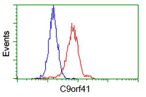 C9orf41 Antibody - Flow cytometry of HeLa cells, using anti-C9orf41 antibody (Red), compared to a nonspecific negative control antibody (Blue).