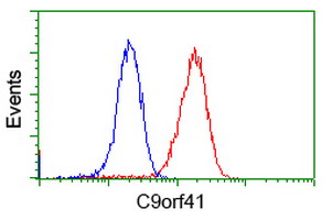 C9orf41 Antibody - Flow cytometry of Jurkat cells, using anti-C9orf41 antibody (Red), compared to a nonspecific negative control antibody (Blue).
