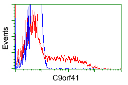 C9orf41 Antibody - HEK293T cells transfected with eitheroverexpress plasmid(Red) or empty vector control plasmid(Blue) were immunostained by anti-C9orf41 antibody, and then analyzed by flow cytometry.