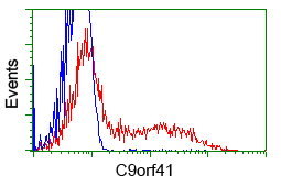 C9orf41 Antibody - HEK293T cells transfected with either overexpress plasmid (Red) or empty vector control plasmid (Blue) were immunostained by anti-C9orf41 antibody, and then analyzed by flow cytometry.