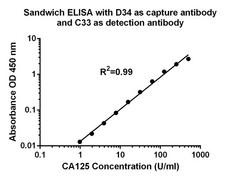 CA125 Antibody