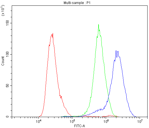 CA2 / Carbonic Anhydrase II Antibody - Flow Cytometry analysis of HT-29 cells using anti-CA2 antibody. Overlay histogram showing HT-29 cells stained with anti-CA2 antibody (Blue line). The cells were blocked with 10% normal goat serum. And then incubated with rabbit anti-CA2 Antibody (1µg/10E6 cells) for 30 min at 20°C. DyLight®488 conjugated goat anti-rabbit IgG (5-10µg/10E6 cells) was used as secondary antibody for 30 minutes at 20°C. Isotype control antibody (Green line) was rabbit IgG (1µg/10E6 cells) used under the same conditions. Unlabelled sample (Red line) was also used as a control.