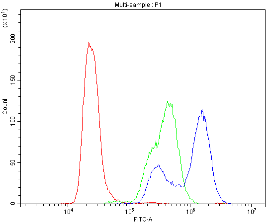 CA2 / Carbonic Anhydrase II Antibody - Flow Cytometry analysis of SW480 cells using anti-CA2 antibody. Overlay histogram showing SW480 cells stained with anti-CA2 antibody (Blue line). The cells were blocked with 10% normal goat serum. And then incubated with rabbit anti-CA2 Antibody (1µg/10E6 cells) for 30 min at 20°C. DyLight®488 conjugated goat anti-rabbit IgG (5-10µg/10E6 cells) was used as secondary antibody for 30 minutes at 20°C. Isotype control antibody (Green line) was rabbit IgG (1µg/10E6 cells) used under the same conditions. Unlabelled sample (Red line) was also used as a control.