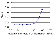 CA4 / Carbonic Anhydrase IV Antibody - Detection limit for recombinant GST tagged CA4 is 3 ng/ml as a capture antibody.