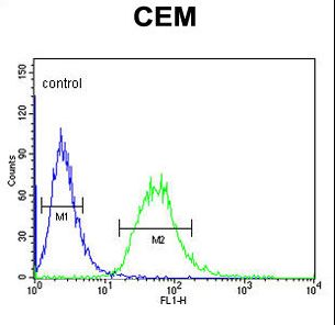 CA6 / Carbonic Anhydrase 6 Antibody - CA6 Antibody flow cytometry of CEM cells (right histogram) compared to a negative control cell (left histogram). FITC-conjugated goat-anti-rabbit secondary antibodies were used for the analysis.