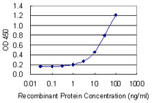 CA6 / Carbonic Anhydrase 6 Antibody - Detection limit for recombinant GST tagged CA6 is 0.3 ng/ml as a capture antibody.