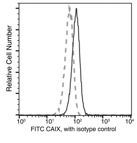 CA9 / Carbonic Anhydrase IX Antibody - Flow cytometric analysis of Human CAIX expression on Hela cells.Cells were stained with FITC-conjugated anti-Human CAIX . The fluorescence histograms were derived from gated events with the forward and side light-scatter characteristics of intact cells.