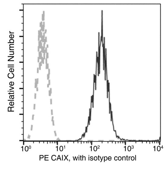 CA9 / Carbonic Anhydrase IX Antibody - Flow cytometric analysis of Human CAIX expression on Hela cells. Cells were stained with PE-conjugated anti-Human CAIX. The fluorescence histograms were derived from gated events with the forward and side light-scatter characteristics of intact cells.