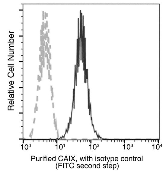 CA9 / Carbonic Anhydrase IX Antibody - Flow cytometric analysis of Human CAIX expression on Hela cells. Cells were stained with purified anti-Human CAIX, then a FITC-conjugated second step antibody. The fluorescence histograms were derived from gated events with the forward and side light-scatter characteristics of intact cells.