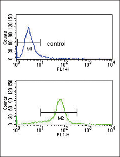 CACNA2D1 Antibody - CACNA2D1 Antibody flow cytometry of K562 cells (bottom histogram) compared to a negative control cell (top histogram). FITC-conjugated goat-anti-rabbit secondary antibodies were used for the analysis.