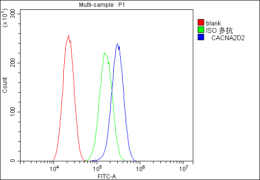 CACNA2D2 Antibody - Flow Cytometry analysis of A549 cells using anti-CACNA2D2 antibody. Overlay histogram showing A549 cells stained with anti-CACNA2D2 antibody (Blue line). The cells were blocked with 10% normal goat serum. And then incubated with rabbit anti-CACNA2D2 Antibody (1µg/10E6 cells) for 30 min at 20°C. DyLight®488 conjugated goat anti-rabbit IgG (5-10µg/10E6 cells) was used as secondary antibody for 30 minutes at 20°C. Isotype control antibody (Green line) was rabbit IgG (1µg/10E6 cells) used under the same conditions. Unlabelled sample (Red line) was also used as a control.
