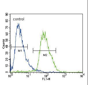 CACNA2D3 / Alpha-2/Delta-3 Antibody - CACNA2D3 Antibody flow cytometry of HepG2 cells (right histogram) compared to a negative control cell (left histogram). FITC-conjugated goat-anti-rabbit secondary antibodies were used for the analysis.