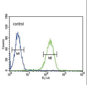 CACNA2D4 Antibody - CACNA2D4 Antibody flow cytometry of K562 cells (right histogram) compared to a negative control cell (left histogram). FITC-conjugated goat-anti-rabbit secondary antibodies were used for the analysis.