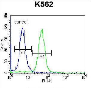 CACNG4 Antibody - CACNG4 Antibody flow cytometry of K562 cells (right histogram) compared to a negative control cell (left histogram). FITC-conjugated donkey-anti-rabbit secondary antibodies were used for the analysis.