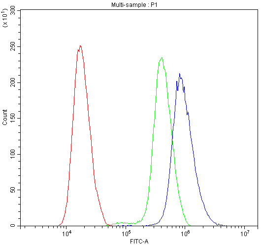 CALB1 / Calbindin Antibody - Flow Cytometry analysis of SiHa cells using anti-Calbindin antibody. Overlay histogram showing SiHa cells stained with anti-Calbindin antibody (Blue line). The cells were blocked with 10% normal goat serum. And then incubated with rabbit anti-Calbindin Antibody (1µg/10E6 cells) for 30 min at 20°C. DyLight®488 conjugated goat anti-rabbit IgG (5-10µg/10E6 cells) was used as secondary antibody for 30 minutes at 20°C. Isotype control antibody (Green line) was rabbit IgG (1µg/10E6 cells) used under the same conditions. Unlabelled sample (Red line) was also used as a control.