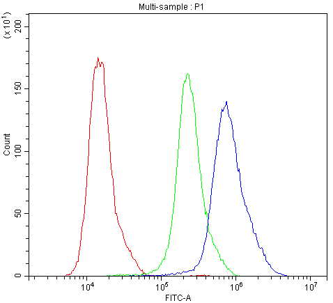 CALB1 / Calbindin Antibody - Flow Cytometry analysis of Hela cells using anti-Calbindin antibody. Overlay histogram showing Hela cells stained with anti-Calbindin antibody (Blue line). The cells were blocked with 10% normal goat serum. And then incubated with rabbit anti-Calbindin Antibody (1µg/10E6 cells) for 30 min at 20°C. DyLight®488 conjugated goat anti-rabbit IgG (5-10µg/10E6 cells) was used as secondary antibody for 30 minutes at 20°C. Isotype control antibody (Green line) was rabbit IgG (1µg/10E6 cells) used under the same conditions. Unlabelled sample (Red line) was also used as a control.