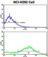 CALD1 / Caldesmon Antibody - Flow cytometric of NCI-H292 cells using CALD1 Antibody (bottom histogram) compared to a negative control cell (top histogram). FITC-conjugated goat-anti-rabbit secondary antibodies were used for the analysis.