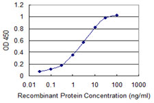 CALM3 / Calmodulin 3 Antibody - Detection limit for recombinant GST tagged CALM3 is 0.03 ng/ml as a capture antibody.