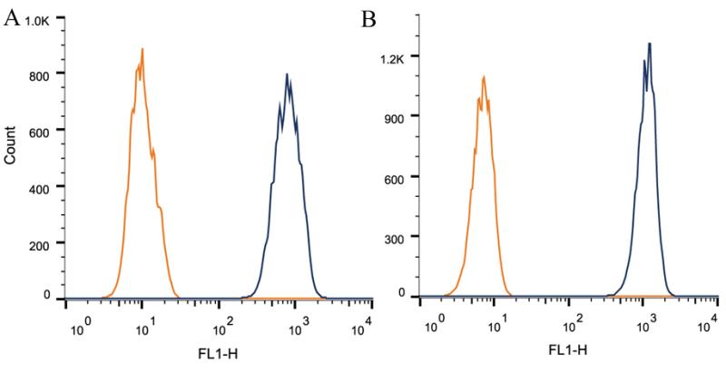 CALR / Calreticulin Antibody - Flow Cytometry: Calreticulin Antibody (1G6A7) - Intracellular flow cytometric staining of 1 x 10^6 CHO (A) and HEK-293 (B) cells using Calreticulin antibody (dark blue). Isotype control shown in orange. An antibody concentration of 1 ug/1x10^6 cells was used.