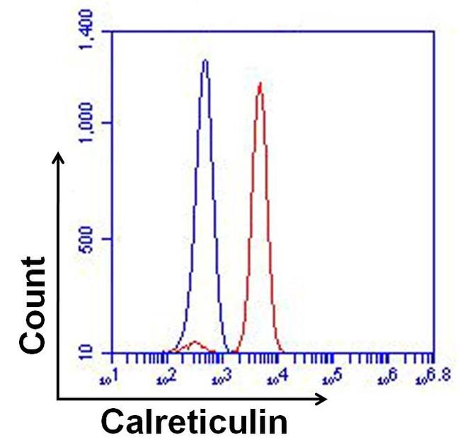 CALR / Calreticulin Antibody - Calreticulin Antibody in Flow Cytometry (Flow)